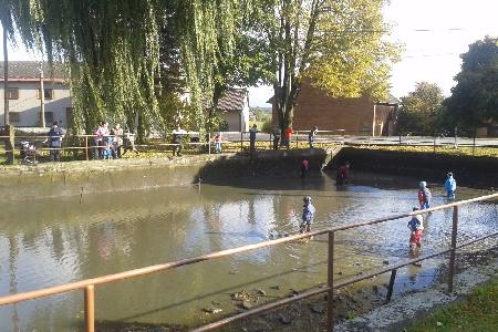 Výlov rybníka 17.10.2015